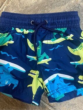 Carter's Navy Swim Shorts with Green & Blue Dinosaurs